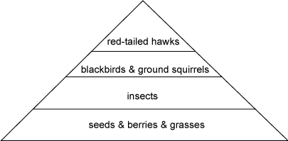 This item contains a visual media element that cannot be described sufficiently by alternative text for purposes of the concept being assessed.